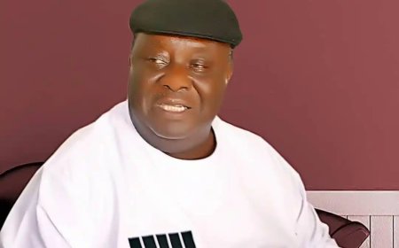 How Gbajabiamila, Edu, others prevailed on Essien Ayi to withdraw case from Tribunal