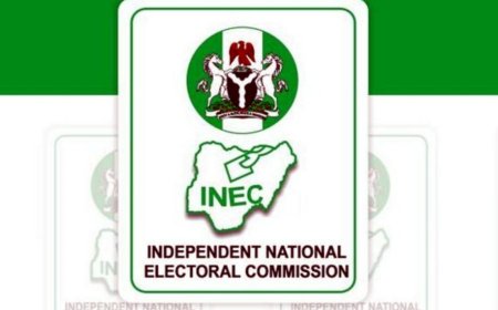 2027 Elections: NIPR Calls for Early Preparation, Voters’ Education