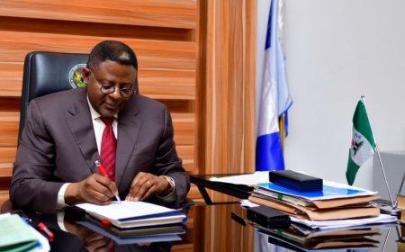 C'River Gov't Orders Workers Audit, Verification