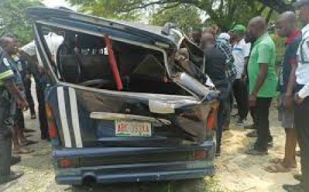 Tree Fall Incident: CRSG Commiserates With Victims, Reveals Plans To Avert Future Occurrence