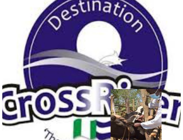 Hydro power generation in Cross River state: an investment and sustainable development opportunity