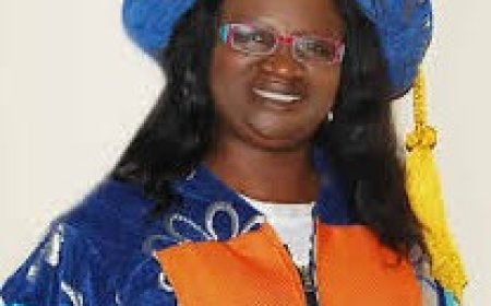 Allegations Against Beatrice Igwe: Handiwork Of Paranoid Renegades Scared Of Her Technocratic Pedigree - Group Alleges