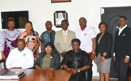 CRIRS, Judiciary Meet To Resume Prosecution Of Revenue Cases, Mobile Courts, Others