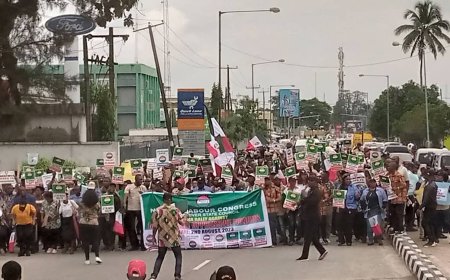 C'River: NLC Protests Against Effects Of Subsidy Removal, Warns Against Anti-people Policies