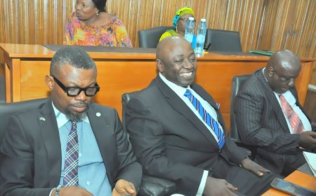 Ayuk, Cobham, Others Among Second Batch Of Commissioner Nominees Confirmed By CRSHA