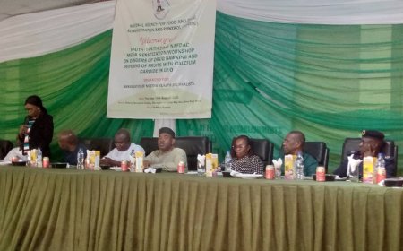 NAFDAC Raises Alarm Over, Hawking Of Drugs, Ripening Fruits With Calcium Carbide