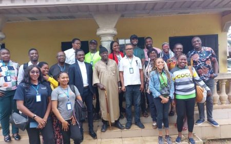 Hematologist Harps On Genotype Compatibility As Panacea Against Sickle Cell Anaemia