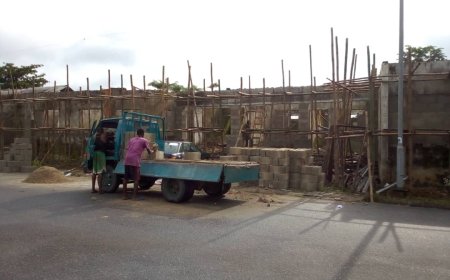 ENDSARS: CRSG Begins Renovation Of Vandalized Structures