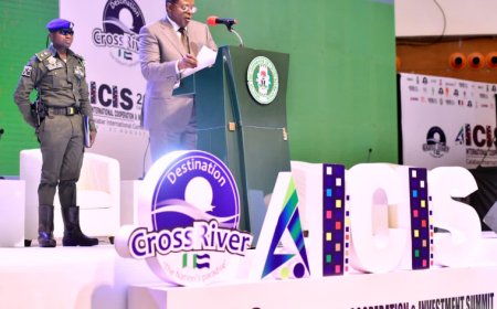 Cross River Is Ready For Investors -  Gov. Otu