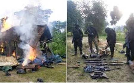 NAF Bombs Militants/Kidnappers Camps In Bakassi