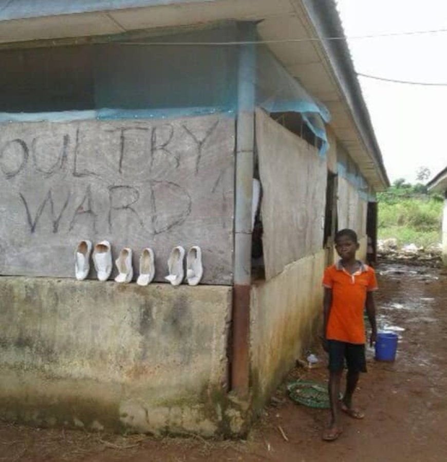 C'River Assembly Calls For Rehabilitation Of Obubra NYSC Camp