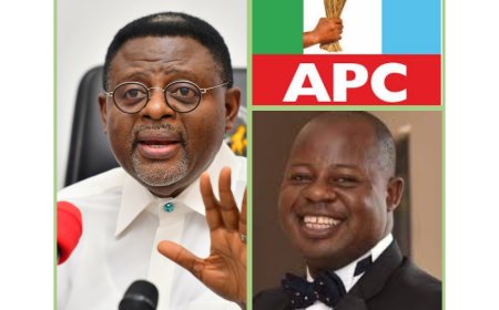 C'River APC Stakeholders Decry Otu's Peace Meal Appointments After 100 Days, Says Gov't Too Slow