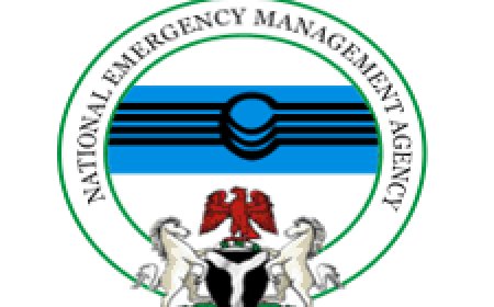 IDPs Intervention Funds: Reps Grill NEMA Over Mismanagement Of Several Billions