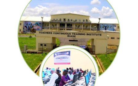 TCTI: Nigeria’s Bastion Of Digital Literacy Standards For Teachers - Prof Adedoja