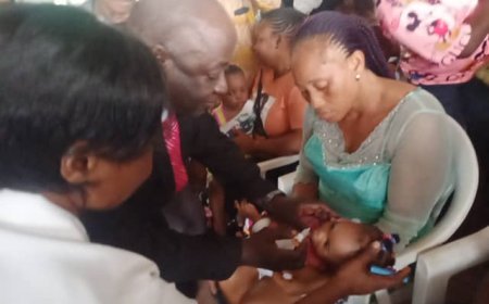 Health Commissioner Harps On Inclusive Partnerships In Immunisation Programmes