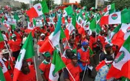 Labour Strike: FG Meets NLC Today