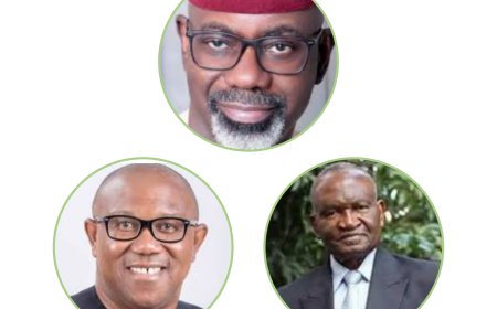 Peter Obi, Imoke, Agabi, Others Forfeit Abuja Choice Plots Over Procrastination