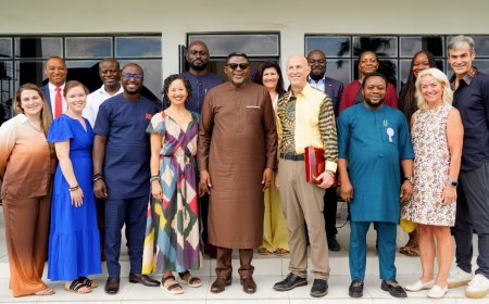 Firm To Partner Cross River On ICT Development