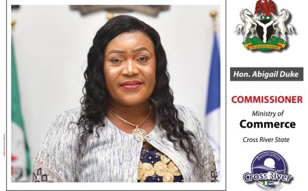 C'River Gov't Discloses Plans To Harmonize Levies, Taxes