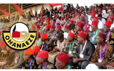 Group Raises the Alarm over Moves to Deny Rivers Ohanaeze  President General Position