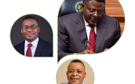 Tribunal Verdict: Cross River PFN Calls On Petitioners To Sheathe Their Swords