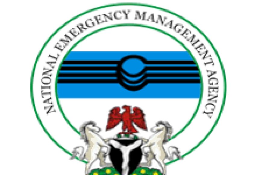 IDPs Intervention Funds: Reps Grill NEMA Over Mismanagement Of Several Billions