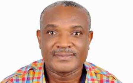 Cross River: Activist Chides Assembly Public Accounts Committee for Frustrating Government's Efforts To Stem Criminal Logging