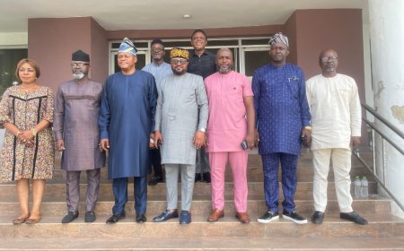 Assembly Committee Lauds Local Government Affairs Commissioner On Efforts To Rejig Sector, Boost IGR