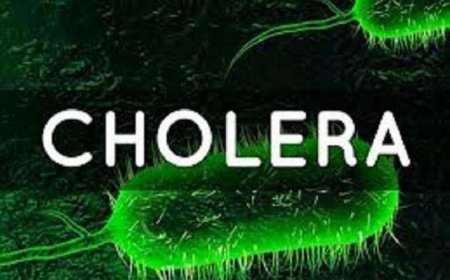 Cross River Ranked Among States With The Highest Cholera Cases
