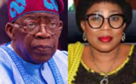 Tinubu Appoints Olaopa, Gekpe,10 Others For Federal Civil Service Commission