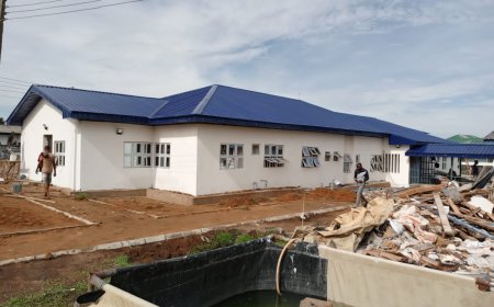 C'River; Health Commissioner Lauds EU Over Calabar Fistula Center