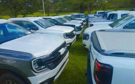 Condemnations Trail C'RIVER Assembly Car Distribution