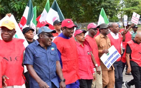 FG condenms Strike Action, says It's Ego Tripping, Unwarranted , Blackmail