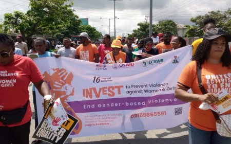 C'River Seeks Synergy To Combat Gender Based Violence
