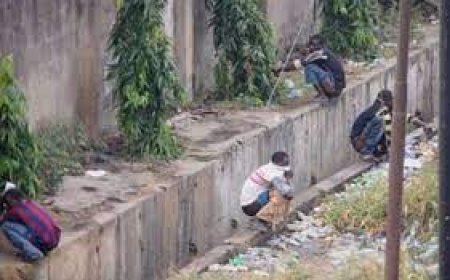 Curtailing The Menace Of Open Defecation