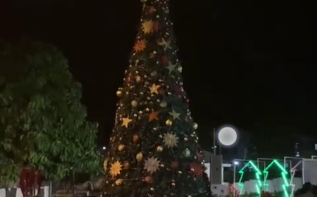 Calabar Comes Alive As Otu Lights Up 2023 Xmas Tree