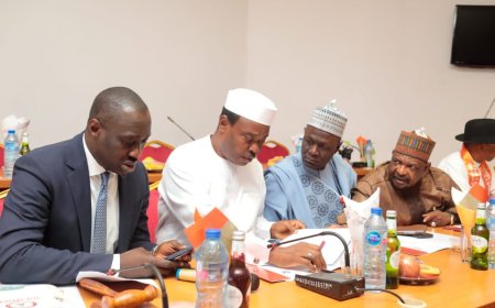 Senate Investigates Dangote Oil Refinery, Delta Govt, NIPCO 12 Other Companies Over N135bn CBN's Gas Expansion Loan