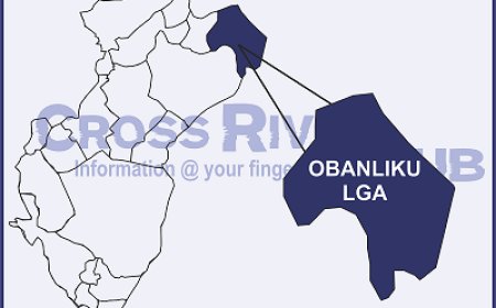 Cross River: Cameroon Ambazonian Militants Invade Belekete Community, Kill 4, Abduct Village Head, 25 Women, 6 Others