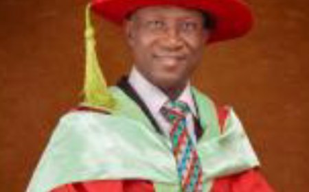 UNICAL Appoints Udoka Director UCPC