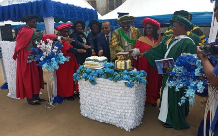 Upgrade Your Curriculum for Universal Health Coverage, Governor Otu Enjoins College of Health Technology Calabar