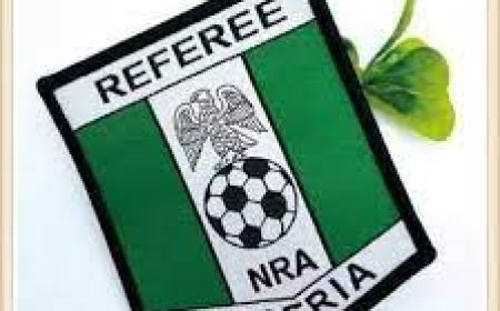 FIFA lists 30 Nigerian Match Officials For Int'l Duties
