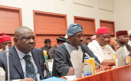 Budget 2024: Ministry of Petroleum Resources Allocation of N5bn Inadequate to Address President Tinubu’s Natural Gas Revolution Policy, says Sen. Jarigbe