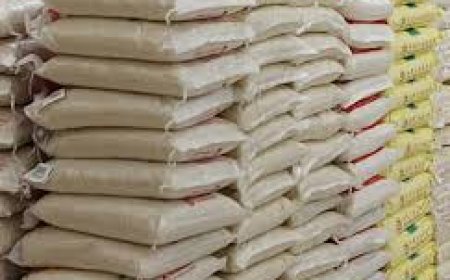 C'River: Rice Approved By Gov. Otu For 196 Political Wards Intact In Our Custody - DG SEMA