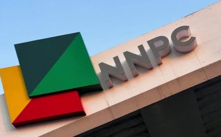 That Ogedegbe's Atrocious and Vexatious Attacks on NNPCL
