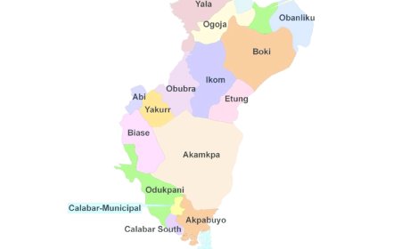 Need For Local Government Development Centres In Cross River State   By Simon Igbang