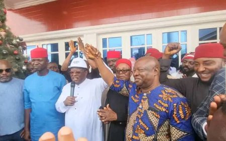 Ebonyi State: APC, Works Minister Endorse Prof. Ani For Southern Senatorial District By-Election