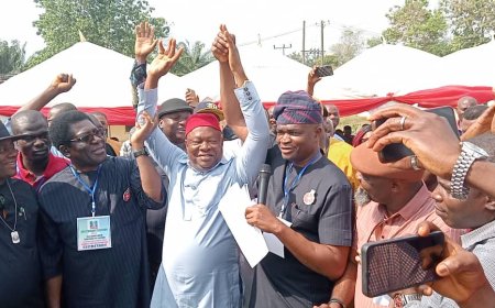 BREAKING...  Ebonyi State: Prof Ani Emerges APC Candidate for Ebonyi South Senatorail District Ahead Feb 3rd By-election