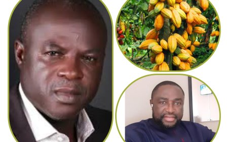 Oscar Ofuka Dares Gov Otu, Allots C'River Cocoa Estate To Illegal Applicants