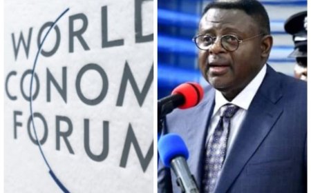 Otu's Participation At Davos 2024 - A Catalyst for Cross River's Growth