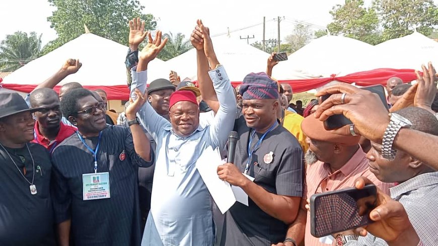 BREAKING... Ebonyi State: Prof Ani Emerges APC Candidate for Ebonyi South Senatorail District Ahead Feb 3rd By-election